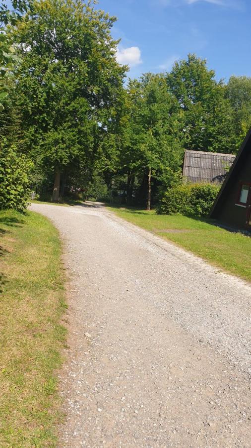 Ferienhaus Nr. 60 Im Ferienpark Am Twistesee Бад-Арользен Экстерьер фото
